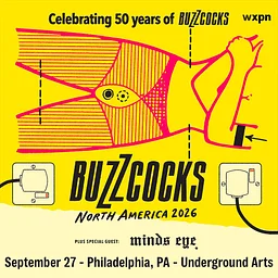 Buzzcocks