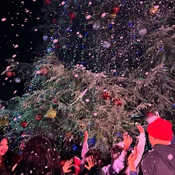 Brea Tree Lighting Ceremony