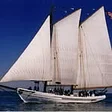 Bayshore Center at Bivalve