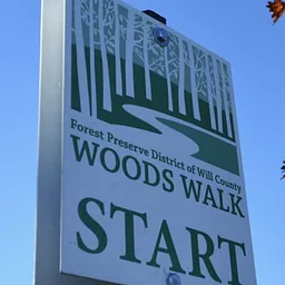 Woods Walk
