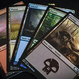 Magic: The Gathering Night