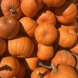The Great Pumpkin Smash