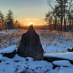 Winter Solstice