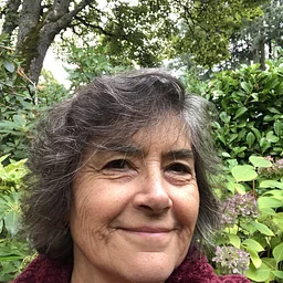 Freewrite Virtual Writing Circle – Election Anxiety
