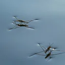 Bug Buddies: Watery Wonders