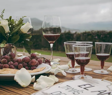 Wine Wednesday: Mexican Wines