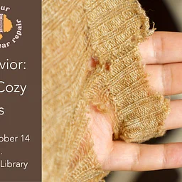 Bear Behavior: Mending Cozy Clothes (for adults)