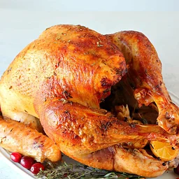 Turkey Bingo