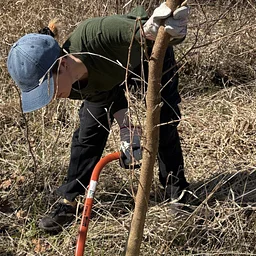 Restoration Workday