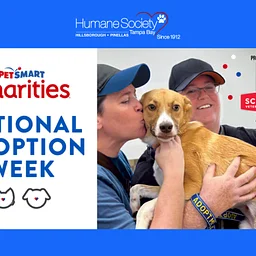 PetSmart Adopt Joy Event – North Tampa