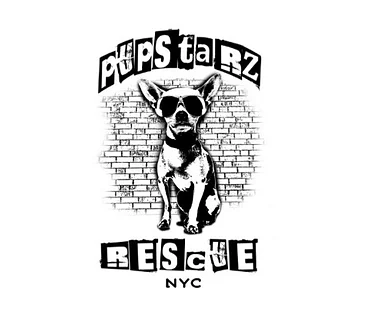 PupStarz Rescue at Petco, Union Square