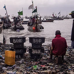 AWP / NOW: Environmental Harm as an International Crime