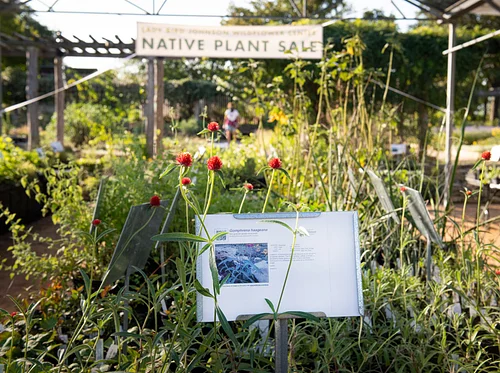 Members Only: Spring Native Plant Sale