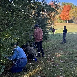 Let’s Restore: Underwood Creek Parkway Buckthorn Removal