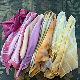 Forest to Color: Mushroom Dyes & Spore Prints