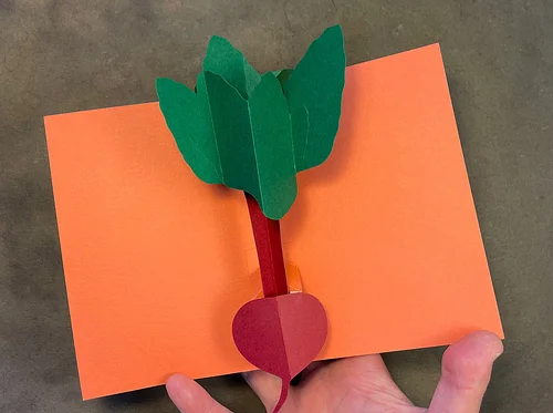 The Pop-Up Vegetable Garden