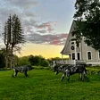 Stone Lions Farm
