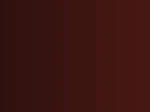 Hayley Gallery Exhibition Opening Reception