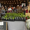Thursday Farmer’s Market