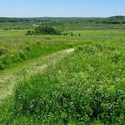 Conservancy Days: Prairies and Rain Forests with Paul Ludden