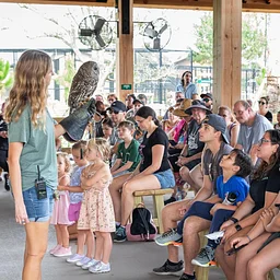 American Sign Language (ASL) Family Day