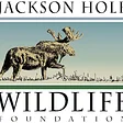 Jackson Hole Wildlife Foundation