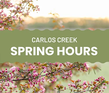 Spring hours 2026 begin