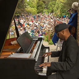 Flower Piano 2026