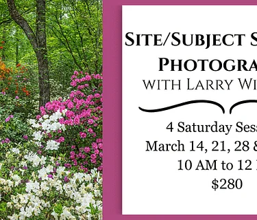 Site/Subject Specific Photography – Quinlan Visual Arts Center