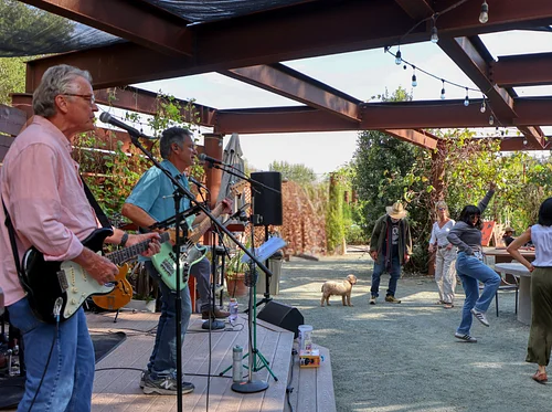 LIVE MUSIC – Tap Roots