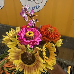 Cut Flowers for Market Growers