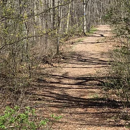 Liability Issues Facing Today’s Land Trusts