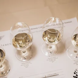 Oregon Chardonnay Celebration