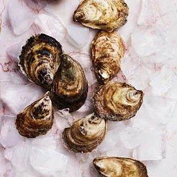 Oyster Party @ HVB
