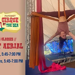 Circus Classes // Adult Aerial