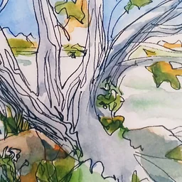 Urban Sketching (45F26)