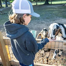 Fall Break Camp at the Children’s Farm
