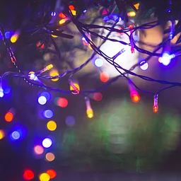 Holiday Shorelights