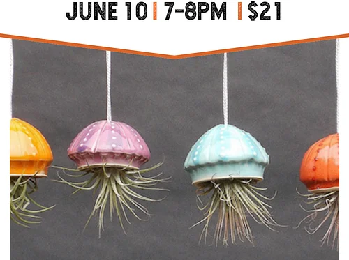 Clay Try It: Air Plant Holder