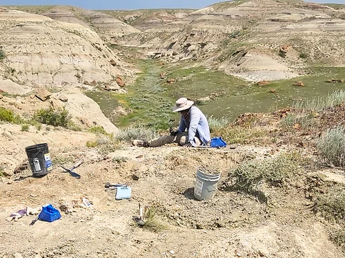 Digging Expedition