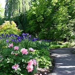 Evenings at the Arboretum – Tales From the Riverwalk