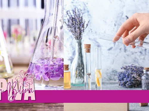 The Art of Scent: Personalized Fragrance Workshop