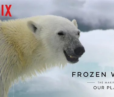 The Making of Our Planet: Frozen Worlds