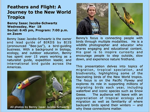 Feathers and Flight: A Journey to the New World Tropics
