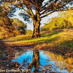 The Breathing of the Year: Entering into Autumn with Eurythmy