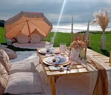 Posh Picnics in the Park