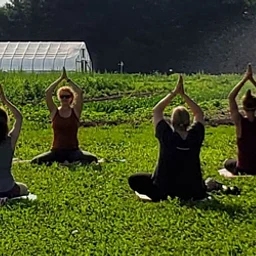 Monthly Meditation: Nature-Based Mindfulness for Tranquility and Renewal