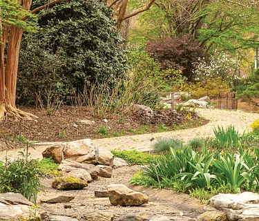 Ecological Landscaping 101