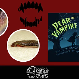 Early Explorers: Are Vampires Real?