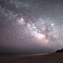Sanctuary Stargazing (Plymouth)